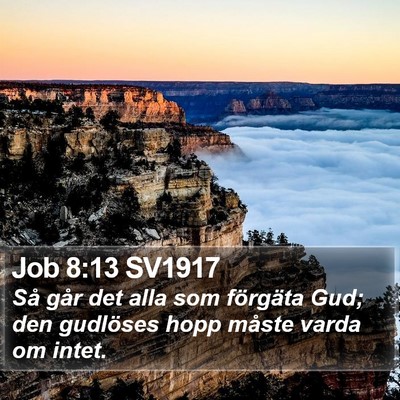 Job 8:13 SV1917 Bible Verse Image