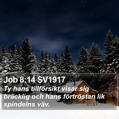 Job 8:14 SV1917 Bible Verse Image