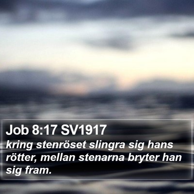 Job 8:17 SV1917 Bible Verse Image