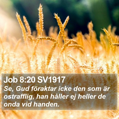Job 8:20 SV1917 Bible Verse Image