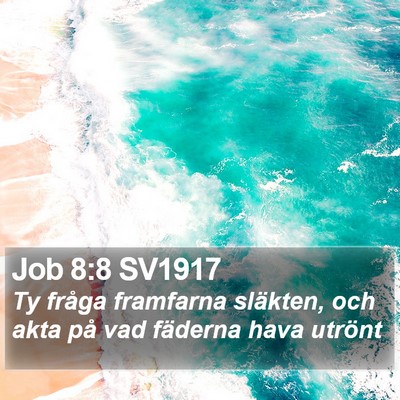 Job 8:8 SV1917 Bible Verse Image