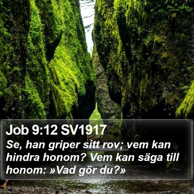Job 9:12 SV1917 Bible Verse Image