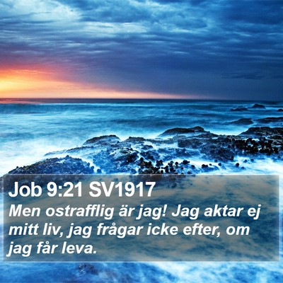 Job 9:21 SV1917 Bible Verse Image