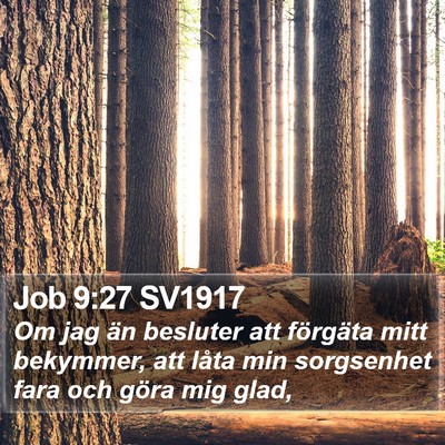 Job 9:27 SV1917 Bible Verse Image