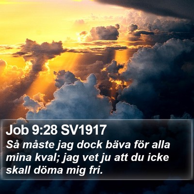 Job 9:28 SV1917 Bible Verse Image