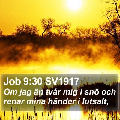 Job 9:30 SV1917 Bible Verse Image