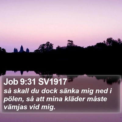 Job 9:31 SV1917 Bible Verse Image