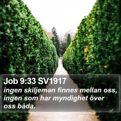 Job 9:33 SV1917 Bible Verse Image