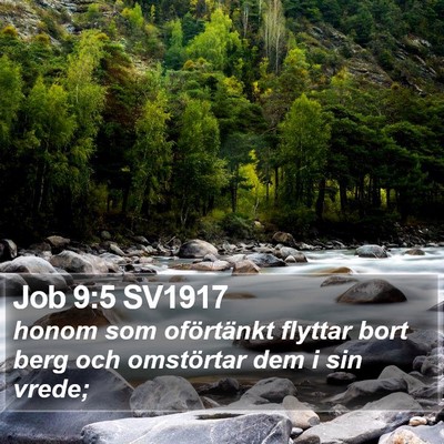Job 9:5 SV1917 Bible Verse Image