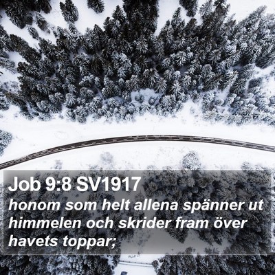 Job 9:8 SV1917 Bible Verse Image