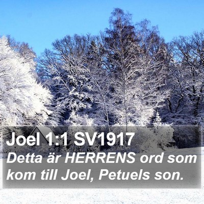 Joel 1:1 SV1917 Bible Verse Image