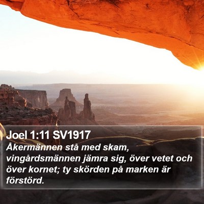 Joel 1:11 SV1917 Bible Verse Image