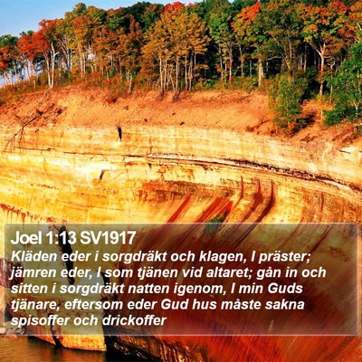 Joel 1:13 SV1917 Bible Verse Image