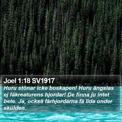 Joel 1:18 SV1917 Bible Verse Image