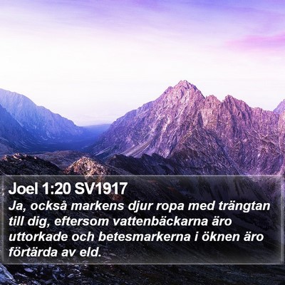 Joel 1:20 SV1917 Bible Verse Image