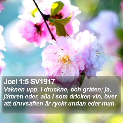 Joel 1:5 SV1917 Bible Verse Image