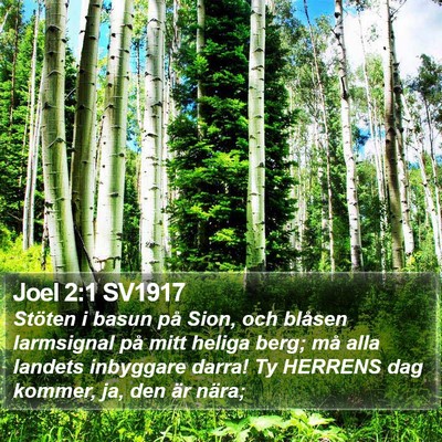 Joel 2:1 SV1917 Bible Verse Image