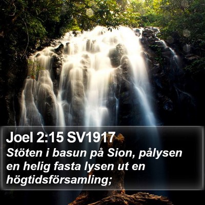 Joel 2:15 SV1917 Bible Verse Image