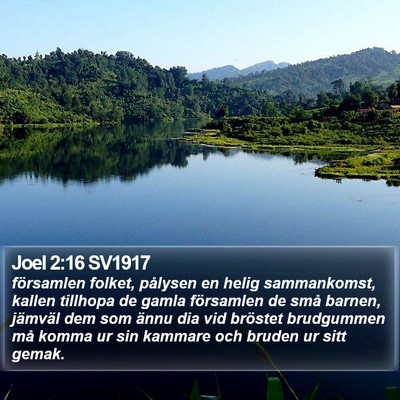Joel 2:16 SV1917 Bible Verse Image