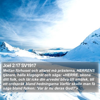 Joel 2:17 SV1917 Bible Verse Image