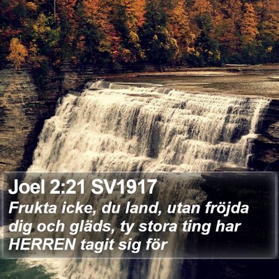 Joel 2:21 SV1917 Bible Verse Image