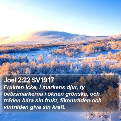 Joel 2:22 SV1917 Bible Verse Image