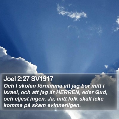 Joel 2:27 SV1917 Bible Verse Image