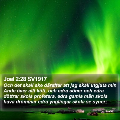 Joel 2:28 SV1917 Bible Verse Image