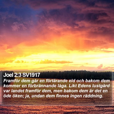 Joel 2:3 SV1917 Bible Verse Image