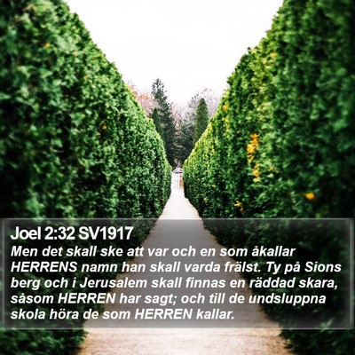 Joel 2:32 SV1917 Bible Verse Image