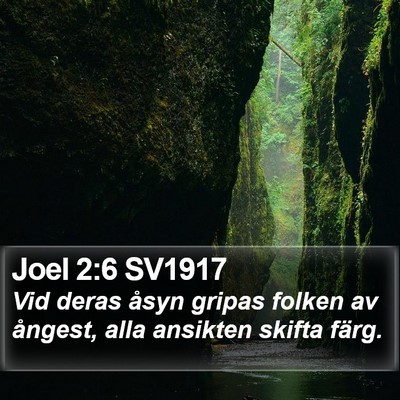 Joel 2:6 SV1917 Bible Verse Image