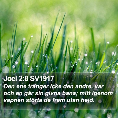 Joel 2:8 SV1917 Bible Verse Image