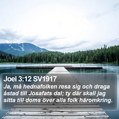 Joel 3:12 SV1917 Bible Verse Image