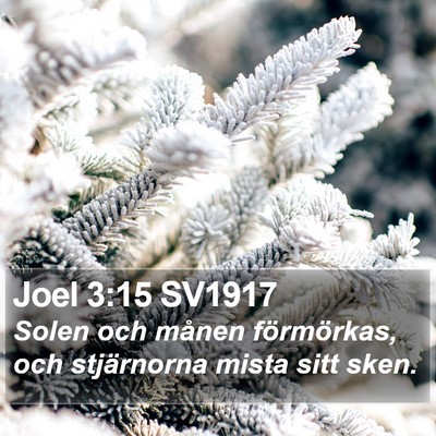 Joel 3:15 SV1917 Bible Verse Image
