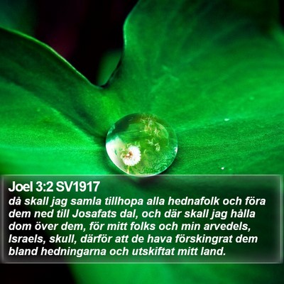 Joel 3:2 SV1917 Bible Verse Image