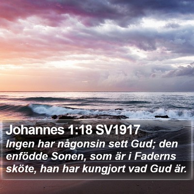 Johannes 1:18 SV1917 Bible Verse Image