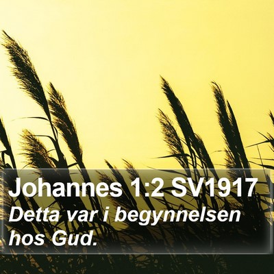 Johannes 1:2 SV1917 Bible Verse Image