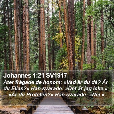 Johannes 1:21 SV1917 Bible Verse Image