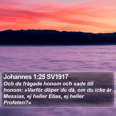 Johannes 1:25 SV1917 Bible Verse Image