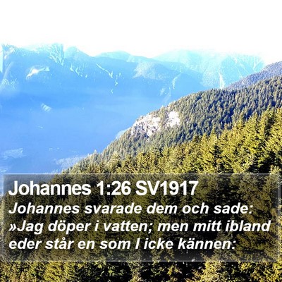 Johannes 1:26 SV1917 Bible Verse Image