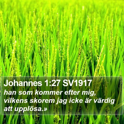 Johannes 1:27 SV1917 Bible Verse Image