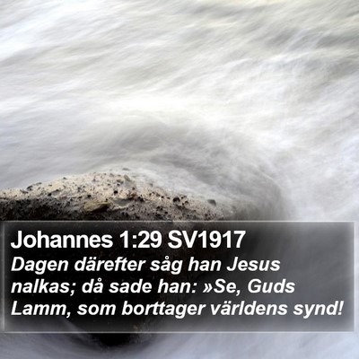 Johannes 1:29 SV1917 Bible Verse Image