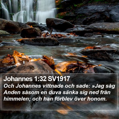 Johannes 1:32 SV1917 Bible Verse Image