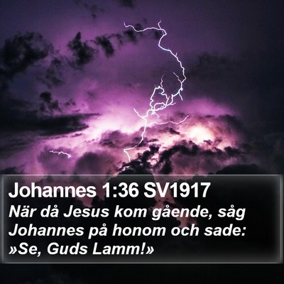 Johannes 1:36 SV1917 Bible Verse Image