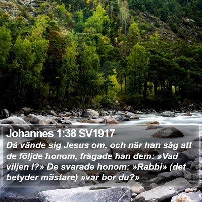 Johannes 1:38 SV1917 Bible Verse Image