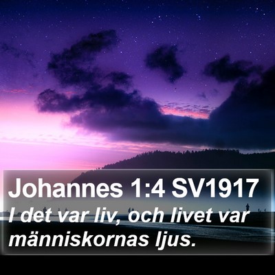 Johannes 1:4 SV1917 Bible Verse Image