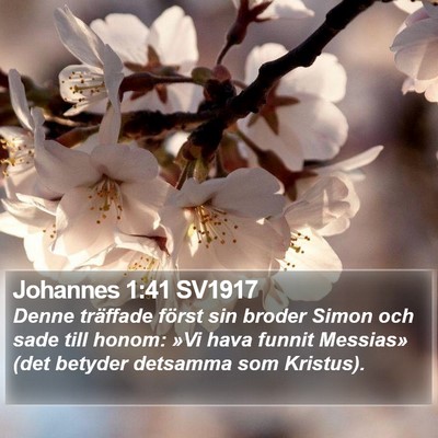 Johannes 1:41 SV1917 Bible Verse Image