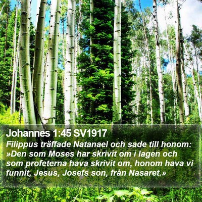 Johannes 1:45 SV1917 Bible Verse Image