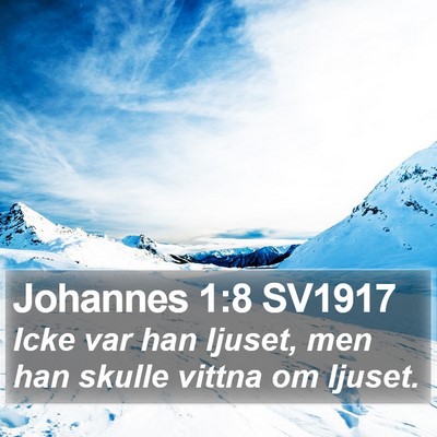Johannes 1:8 SV1917 Bible Verse Image