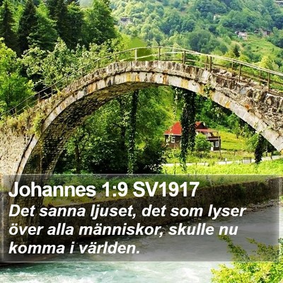 Johannes 1:9 SV1917 Bible Verse Image